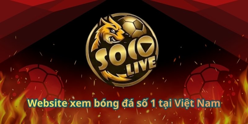 Website xem bóng đá số 1 tại Việt Nam